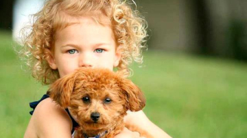 Собаки и двухлетние дети оказались одинаково умными