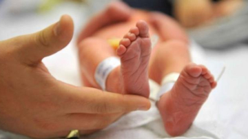 Британия всерьез занялась темой "детей от трех родителей"