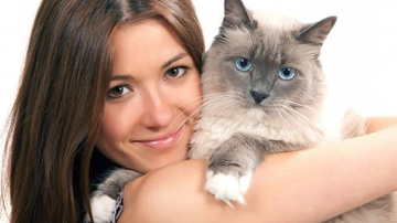 Чем опасна болезнь кошачьей царапины?