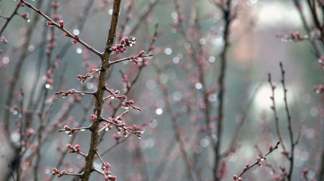 Теплая погода сохраняется, но начинаются дожди