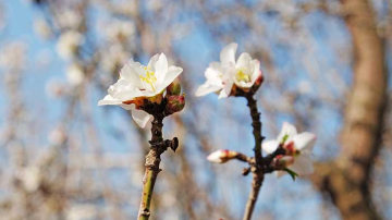 Temperaturile cresc din nou