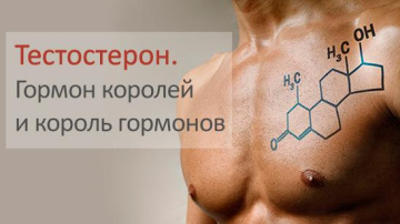 Гормон королей и король гормонов