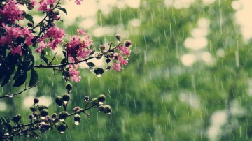 С середины недели в Молдове ожидаются дожди