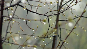 Se anunţă vreme rece şi ploioasă