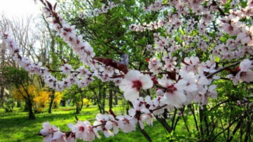 Ожидается значительное потепление