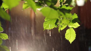 Ploi în timpul nopții și vreme puțin mai rece ziua