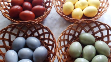Cum vopsim ouăle de Paști natural, fără să folosim vopsea