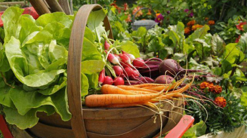 Primele vitamine: cum să evităm intoxicațiile cu legumele, fructele și verdețurile noi