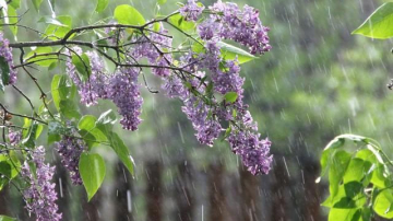 Vânt slab şi ploi cu descărcări electrice. Câte grade vom avea în termometre în zilele următoare