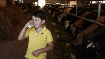 Доказано влияние употребления коровьего молока в раннем возрасте на рост