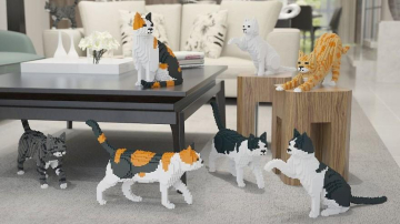 Dacă ești fan LEGO și iubitor de pisici, atunci aceste jucării sunt pentru tine