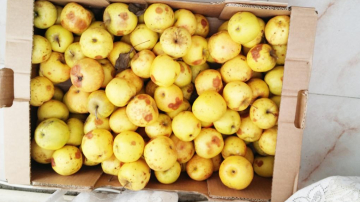 Cartofi și mere stricate, în grădinițele din Chișinău! Agenții economici continuă să livreze produse alterate