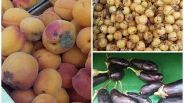 În plină vară, într-un supermarket din Capitală se vând fructe și legume putrede (FOTO)