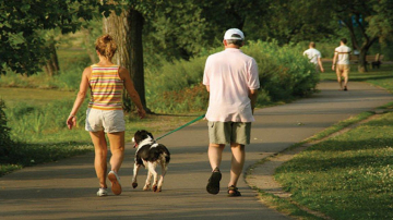 Cu mătură și pungi la plimbarea patrupezilor! Noile reguli pentru deținătorii animalelor de companie