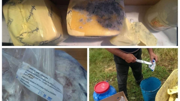 Imagini groaznice cu produse alimentare depistate într-o tabără pentru copii