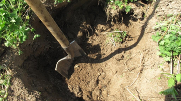 Caz şocant la Donduşeni. Minor de 14 ani, răpit, maltratat şi impus să-şi sape groapa de un vecin