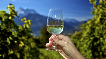 Moldova va deveni în 2018 „Capitală Mondială a Turismului Vinicol”