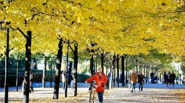 Prognoza meteo pentru 11 octombrie