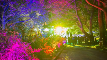 Pe Aleea Colorată din Parcul Valea Trandafirilor a fost deja instalat pianul pentru cei care vor să cânte în public