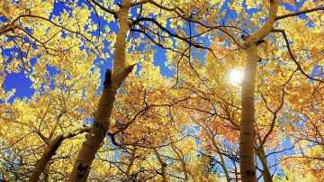 Prognoza meteo pentru 16 octombrie