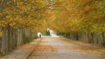 Cum va fi vremea in weekend