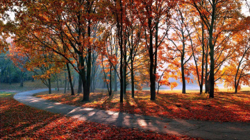 Prognoza meteo pentru 7 noiembrie