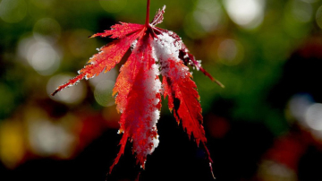 Vreme frumoasă și temperaturi de +18 grade. Când se răcește vremea