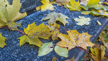 Ploi, lapoviță și temperaturi minime negative. Ce prognozează meteorologii pentru săptămâna viitoare