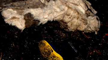 Стали известны подробности пожара, в котором сгорели трое детей