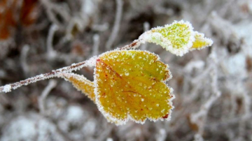 Cum va fi vremea în weekend si săptămâna viitoare
