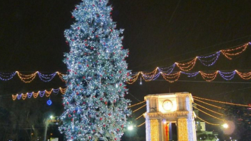 Rămînem fără brad în PMAN de 1 decembrie?