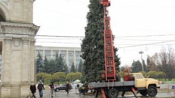 Pomul de Crăciun va fi inaugurat pe 1 decembrie