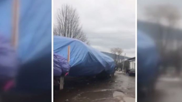 Drumul lung și anevoios al Pomului de Crăciun din Piaţa Marii Adunări Naţionale