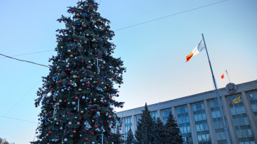 Pomul de Crăciun va fi inaugurat în această seară