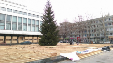 Inca un brad in centrul capitalei. Guvernul si-a adus pomul de Craciun in preajma Palatului National