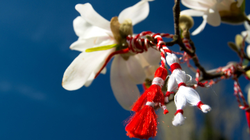 Мэрцишор внесен в Список всемирного наследия ЮНЕСКО