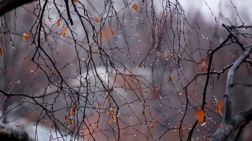 Prognoza meteo pentru 14 decembrie