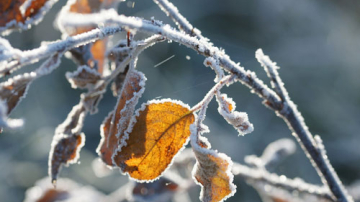 Прогноз погоды на 21 декабря и 22, 23 декабря