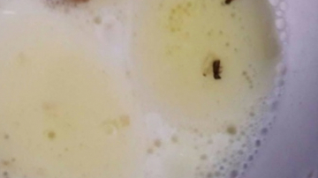 Compania care a livrat la o grădiniță hrișcă cu viermi și gîze, în lista neagră