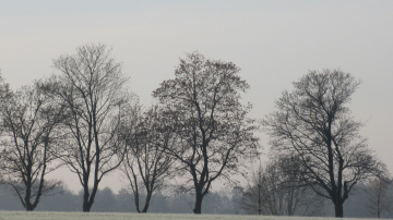 Prognoza meteo pentru 10 ianuarie