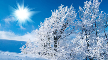 Cea mai scăzută temperatură din această iarnă: -23 grade Celsius