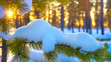 Vremea se răcește din nou. Meteorologii prognozează ninsori