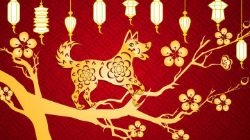 Anul Nou Chinezesc. China trece în Anul Câinelui de Pământ