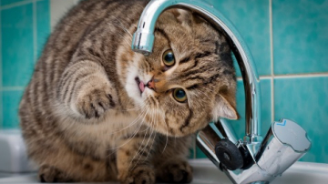 Mâine nu vom avea apă la robinete