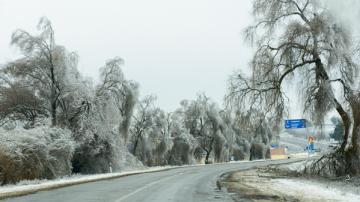 Cod galben de vânt puternic și ger