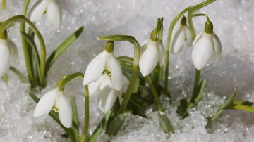 Синоптики прогнозируют потепление