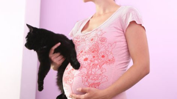 Toxoplasmoza sau boala zgârieturilor de pisică: cum să nu te infectezi?