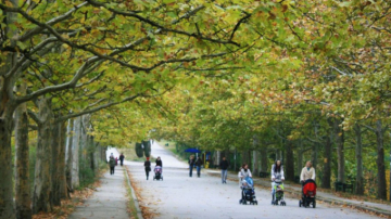 Parcul Valea Trandafirilor va fi reamenajat