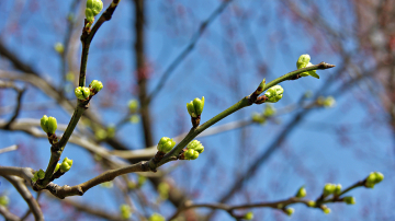 Cum va fi vremea astăzi