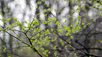 Cum va fi vremea în această săptămână